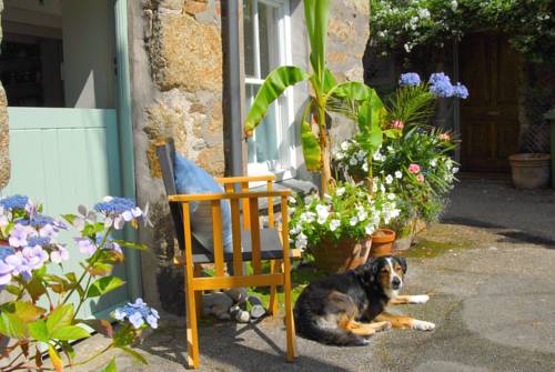 Newlyn Nr Penzance Codice Promozionale Inghilterra Booking.com