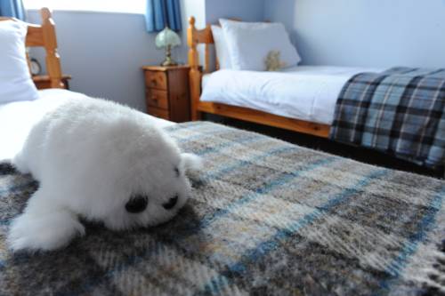 Lerwick Vereinigtes Königreich England Promo-Code Booking.com