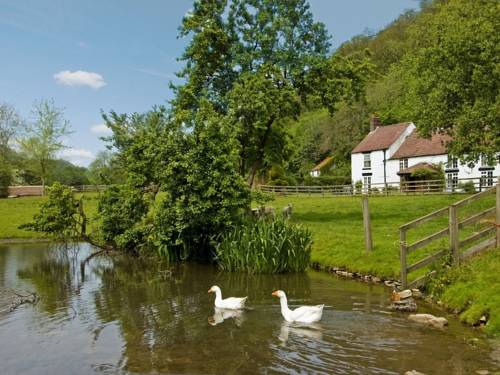 Rievaulx Vereinigtes Königreich England Promo-Code Booking.com