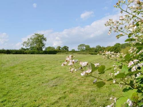 Parc Sheffield Code promo Angleterre Booking.com