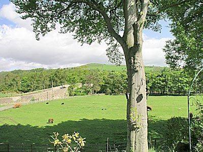 Frosterley Vereinigtes Königreich England Promo-Code Booking.com