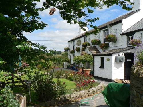 Marytavy. Tavistock Codice Promozionale Inghilterra Booking.com