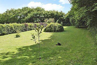 St Giles-on-the-Heath Launceston Codice Promozionale Inghilterra Booking.com