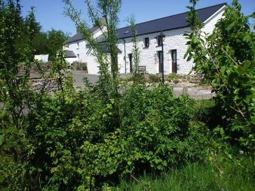 Penderyn Verenigd Koningkrijk Engeland promotiecode Booking.com