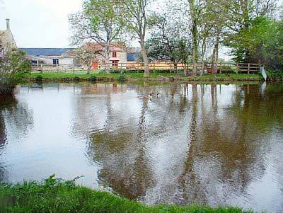 Glanvilles Wootton Sherborne Vereinigtes Königreich England Promo-Code Booking.com