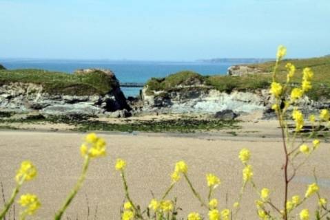 Newquay Reino Unido codigo de promocion Booking.com