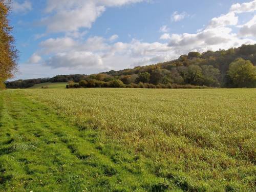 Forestside Code promo Angleterre Booking.com