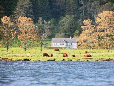 Castillo de Ardmaddy Reino Unido codigo de promocion Booking.com