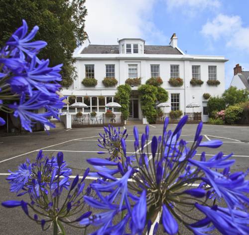 Guernsey Reino Unido codigo de promocion Booking.com