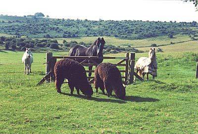 Wells Verenigd Koningkrijk Engeland promotiecode Booking.com