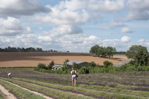 Kent Verenigd Koningkrijk Engeland promotiecode Booking.com