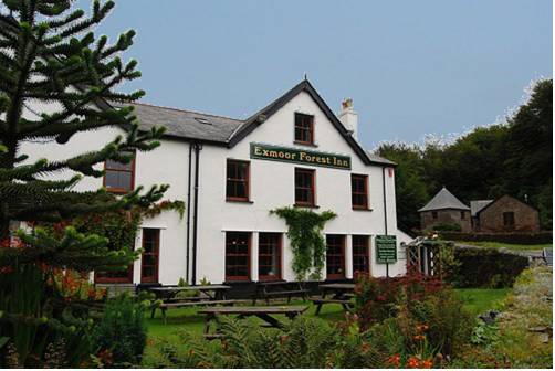 Minehead Reino Unido codigo de promocion Booking.com
