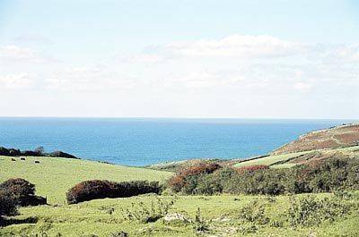 Trebarwith Delabole Reino Unido codigo de promocion Booking.com