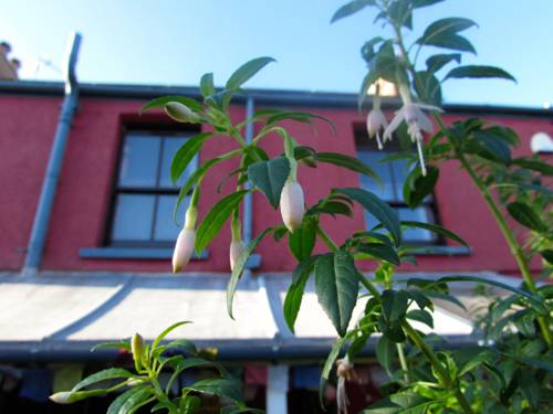 Llangennith Code promo Angleterre Booking.com