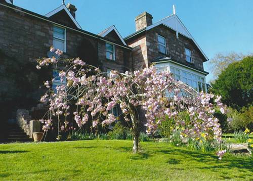 Cushendall Code promo Angleterre Booking.com