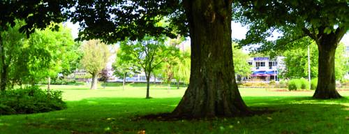 Barnstaple, Devon Reino Unido codigo de promocion Booking.com