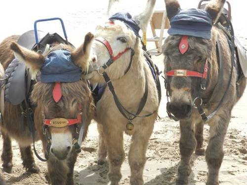 Scarborough Verenigd Koningkrijk Engeland promotiecode Booking.com