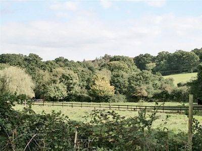 New Forest Verenigd Koningkrijk Engeland promotiecode Booking.com