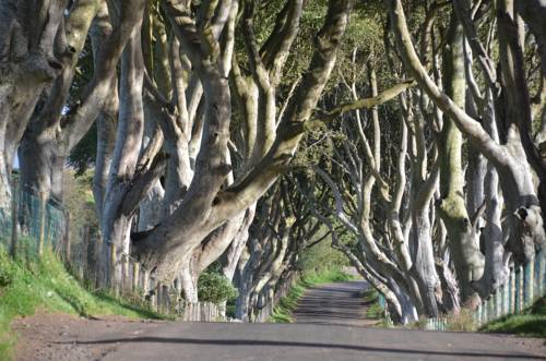 Ballymoney Vereinigtes Königreich England Promo-Code Booking.com