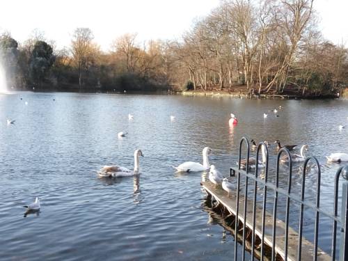 Londres Reino Unido codigo de promocion Booking.com